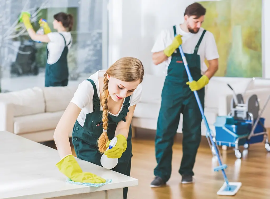 Professional Cleaning Services